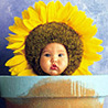 Althea