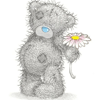 Dolly