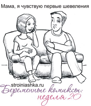 беременность двадцать недель