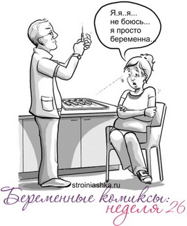 беременность 26 неделя беременность 26 неделя