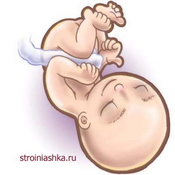 беременность 26 неделя