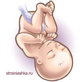 34 неделя беременности