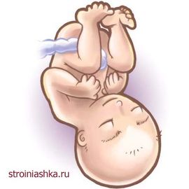 35 неделя беременности