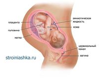 41 неделя беременности