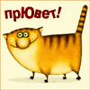 Мимия
